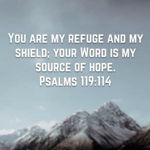 psalm-119-114